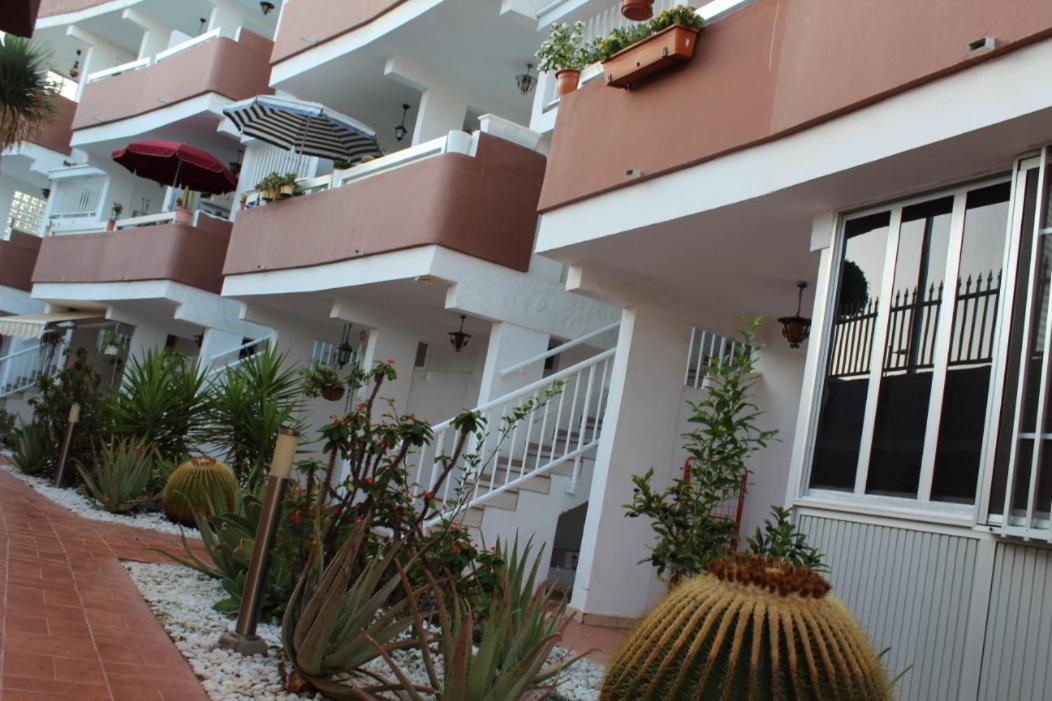 Appartement Bonito 109